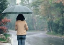 Exploring the Interconnections of Depression
